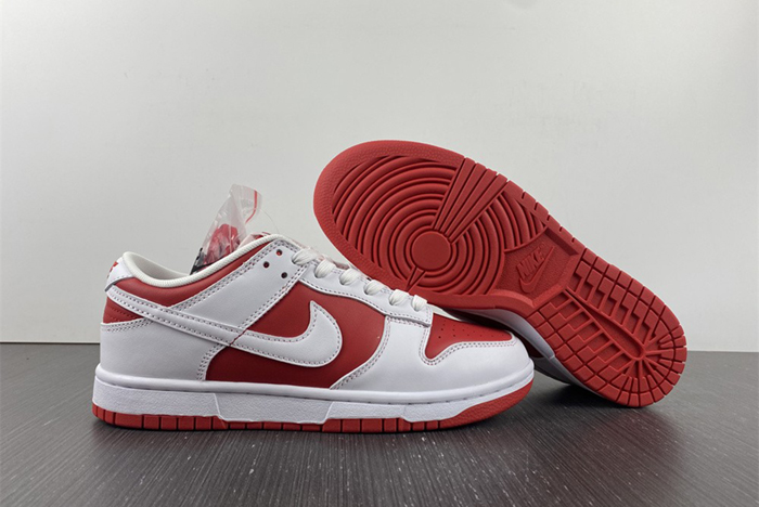 NIKE DUNK LOW RETRO DD1391-600