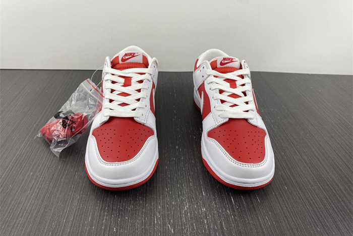 NIKE DUNK LOW RETRO DD1391-600