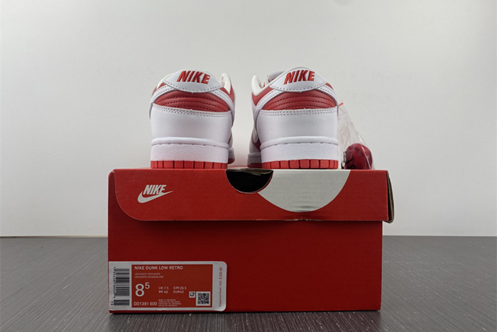 NIKE DUNK LOW RETRO DD1391-600