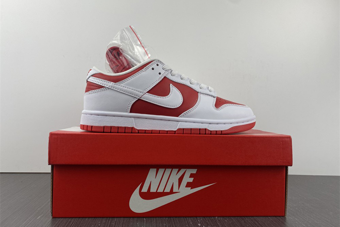 NIKE DUNK LOW RETRO DD1391-600