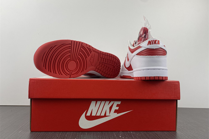 NIKE DUNK LOW RETRO DD1391-600